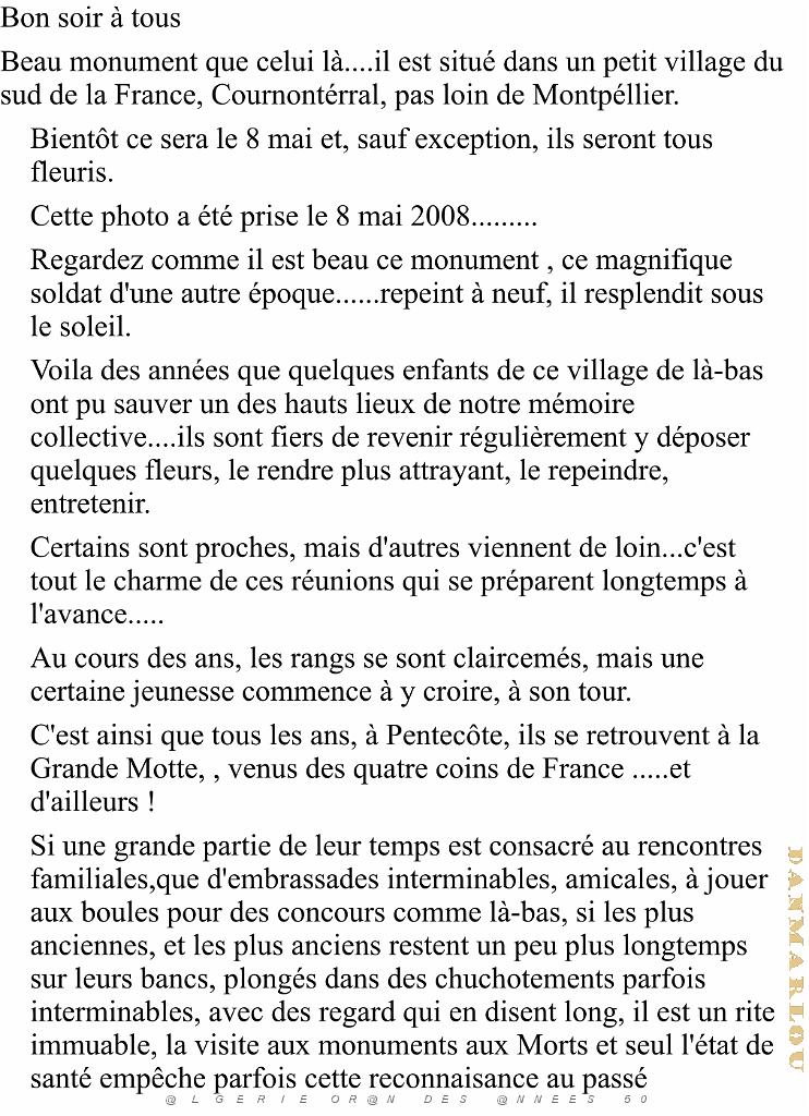 NOS MONUMENTS AUX MORTS 01.JPG